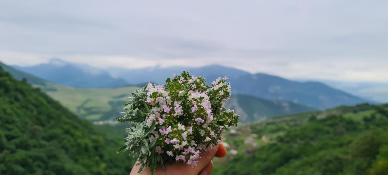 "Budur" Guest House Gandzakar Zewnętrze zdjęcie